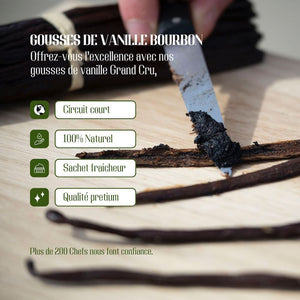 [PRO] - GOUSSES DE VANILLE BOURBON XL